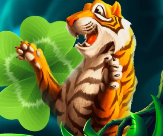 Review of Lucky Tiger casino in 2026